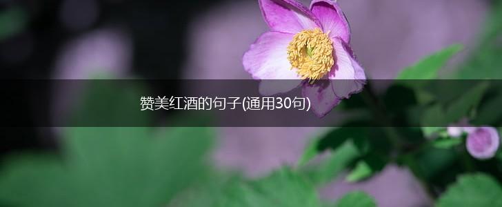 赞美红酒的句子(通用30句),第1张