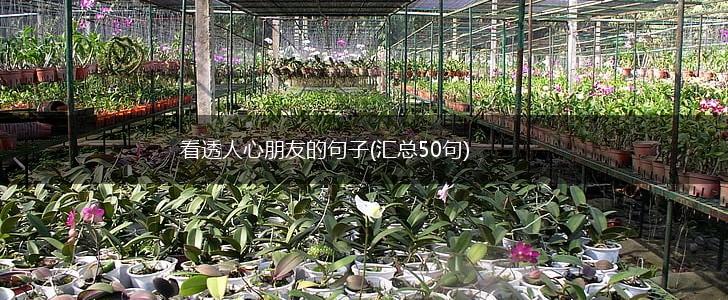 看透人心朋友的句子(汇总50句),第1张