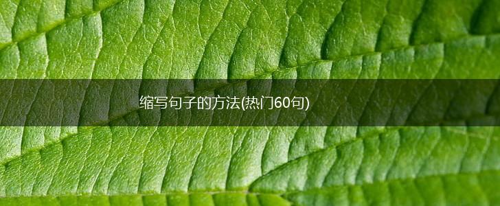 缩写句子的方法(热门60句),第1张