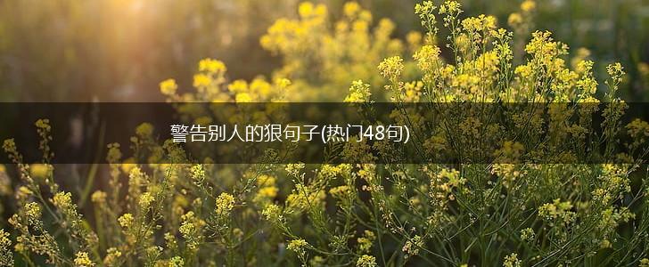 警告别人的狠句子(热门48句),第1张