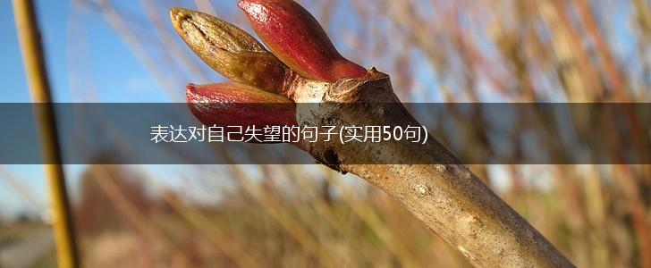 表达对自己失望的句子(实用50句),第1张