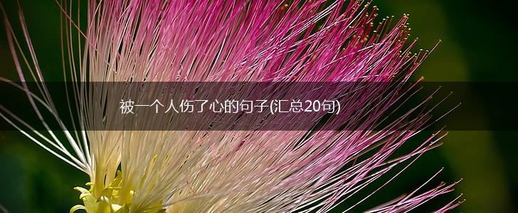被一个人伤了心的句子(汇总20句),第1张