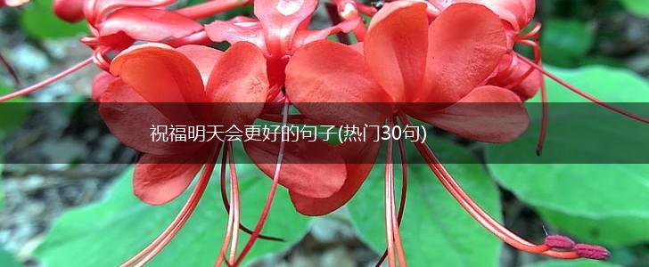 祝福明天会更好的句子(热门30句),第1张