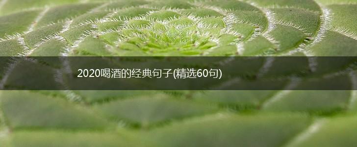 2020喝酒的经典句子(精选60句),第1张