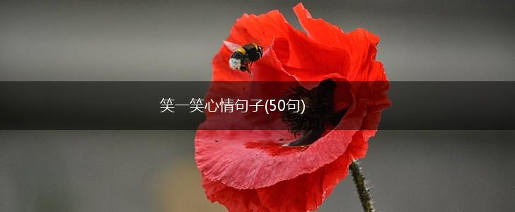 笑一笑心情句子(50句),第1张