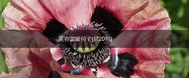 笑容温暖句子(共20句),第1张