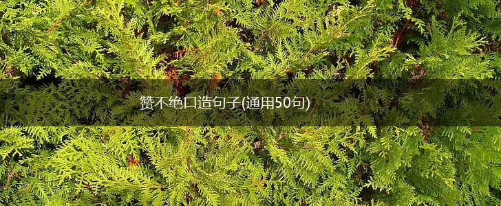 赞不绝口造句子(通用50句),第1张