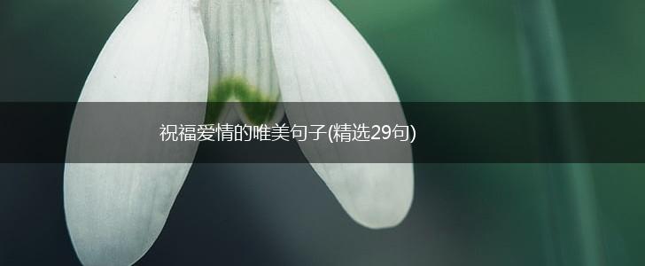 祝福爱情的唯美句子(精选29句),第1张