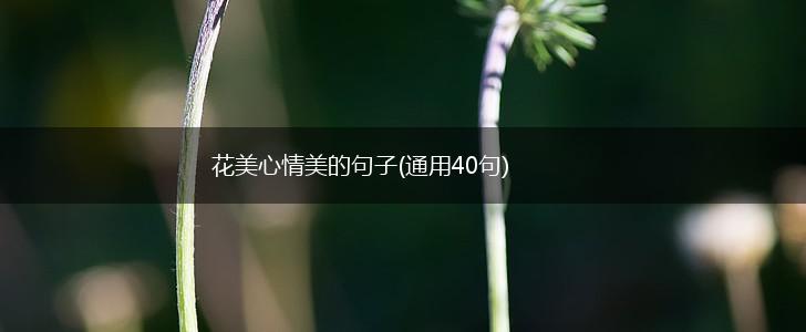 花美心情美的句子(通用40句),第1张