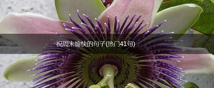祝周末愉快的句子(热门41句),第1张