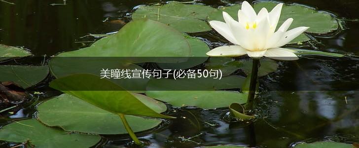 美瞳线宣传句子(必备50句),第1张