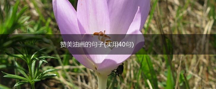 赞美油画的句子(实用40句),第1张