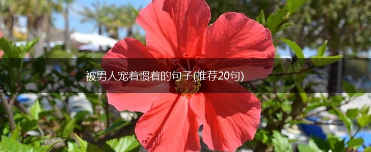 被男人宠着惯着的句子(推荐20句),第1张