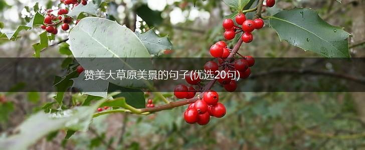 赞美大草原美景的句子(优选20句),第1张