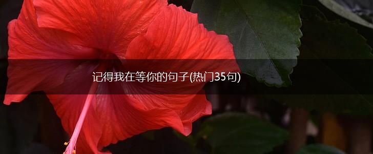 记得我在等你的句子(热门35句),第1张