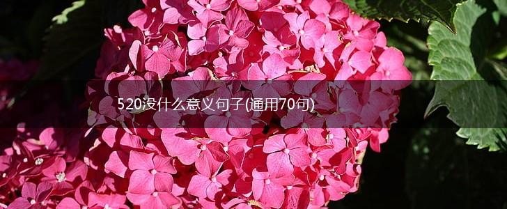 520没什么意义句子(通用70句),第1张