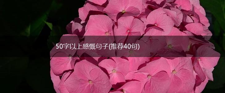 50字以上感慨句子(推荐40句),第1张
