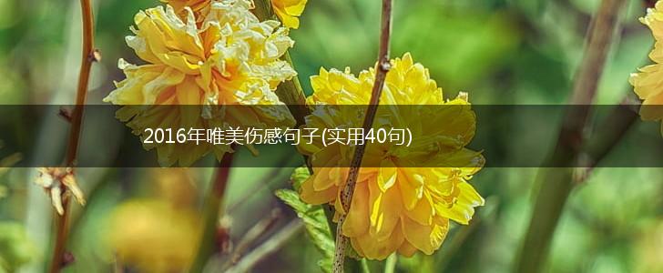 2016年唯美伤感句子(实用40句),第1张