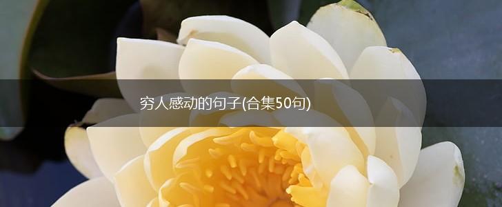 穷人感动的句子(合集50句),第1张