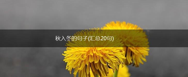 秋入冬的句子(汇总20句),第1张