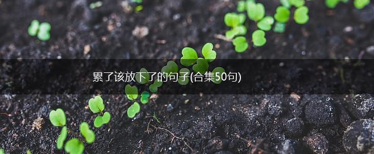 累了该放下了的句子(合集50句),第1张