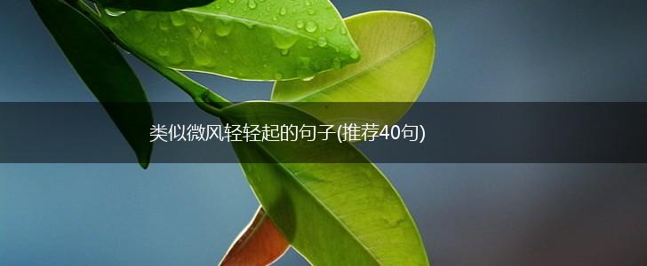 类似微风轻轻起的句子(推荐40句),第1张