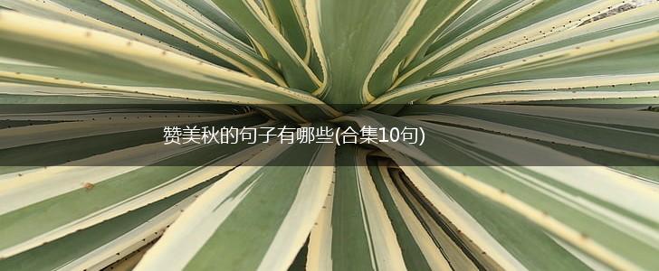 赞美秋的句子有哪些(合集10句),第1张