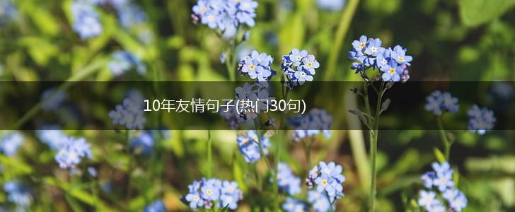 10年友情句子(热门30句),第1张
