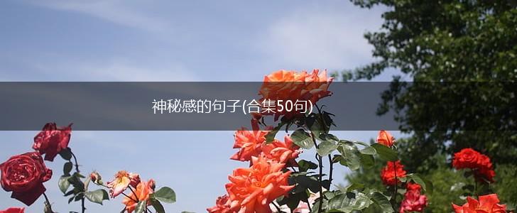神秘感的句子(合集50句),第1张