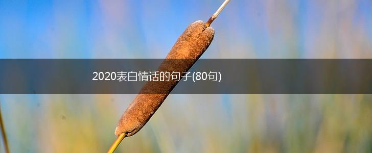 2020表白情话的句子(80句),第1张