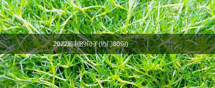 2022顺利的句子(热门80句),第1张