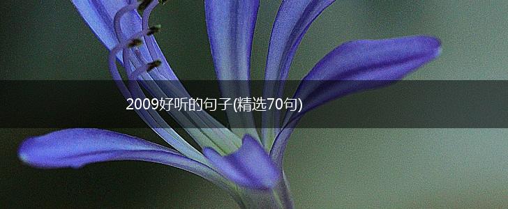 2009好听的句子(精选70句),第1张
