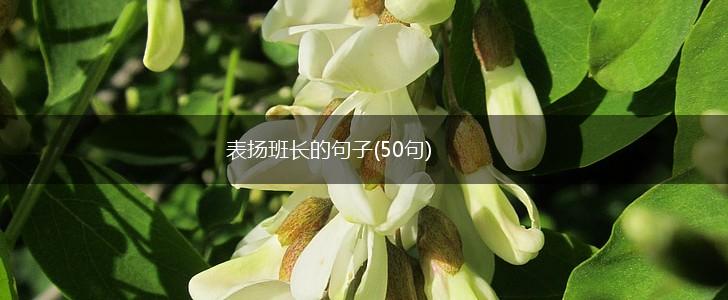 表扬班长的句子(50句),第1张