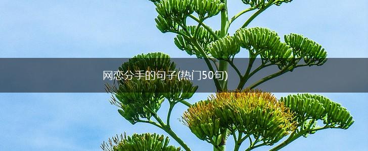 网恋分手的句子(热门50句),第1张