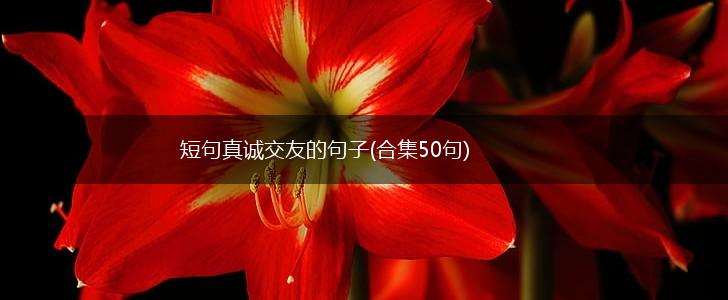 短句真诚交友的句子(合集50句),第1张