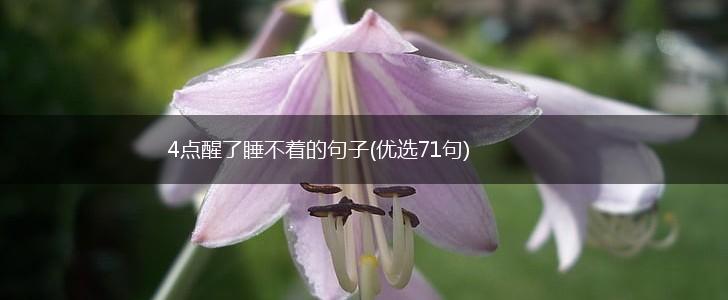 4点醒了睡不着的句子(优选71句),第1张