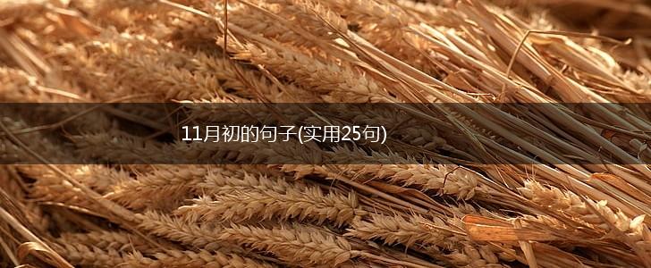 11月初的句子(实用25句),第1张