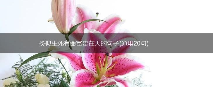 类似生死有命富贵在天的句子(通用20句),第1张