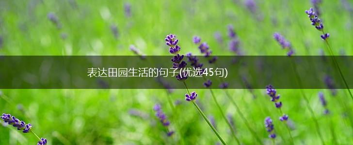 表达田园生活的句子(优选45句),第1张