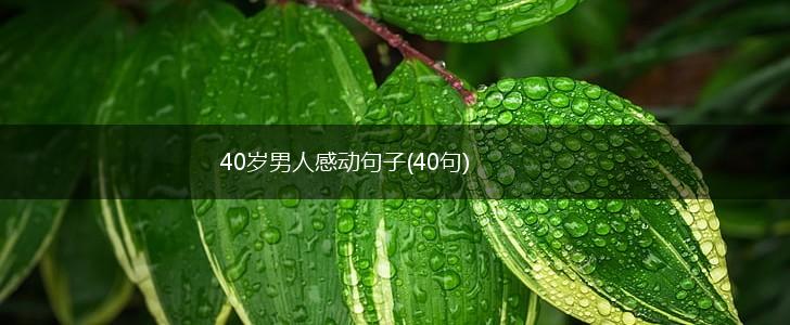 40岁男人感动句子(40句),第1张