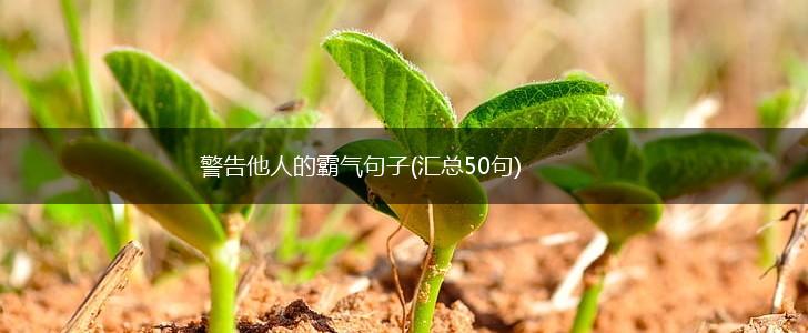 警告他人的霸气句子(汇总50句),第1张