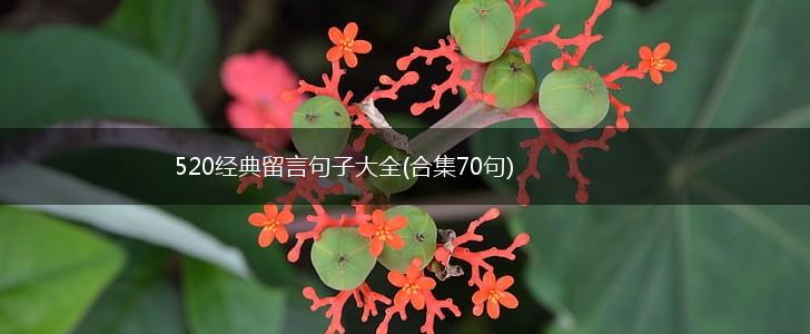 520经典留言句子大全(合集70句),第1张