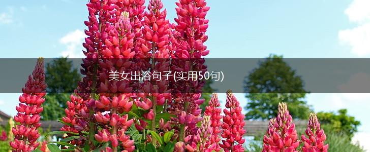 美女出浴句子(实用50句),第1张