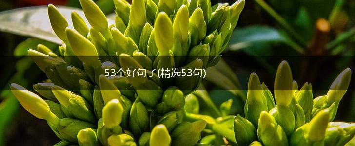 53个好句子(精选53句),第1张