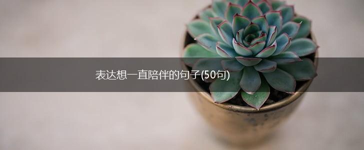表达想一直陪伴的句子(50句),第1张