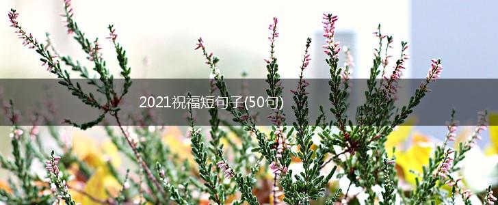2021祝福短句子(50句),第1张