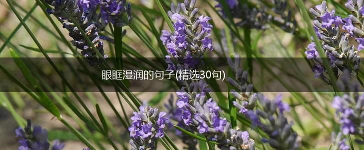 眼眶湿润的句子(精选30句),第1张