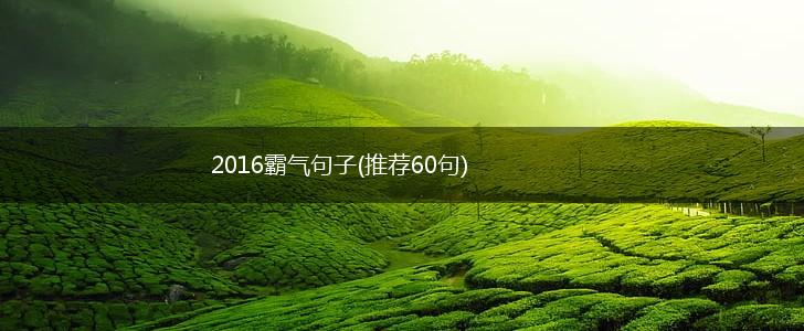 2016霸气句子(推荐60句),第1张