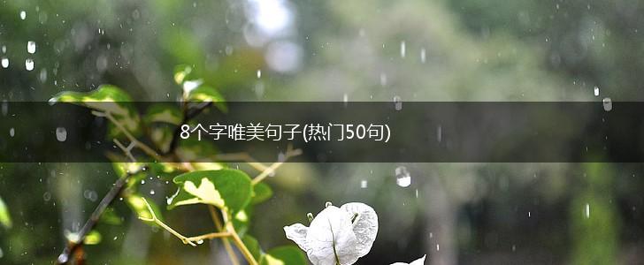 8个字唯美句子(热门50句),第1张