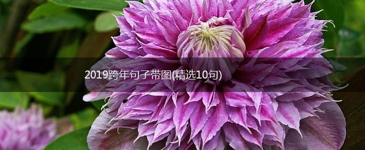 2019跨年句子带图(精选10句),第1张